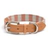 Camello Leren & Orange Stripe Hondenhalsband Mutts en Hounds