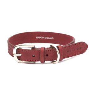 Rode Leren Honden Halsband Mutts en Hounds