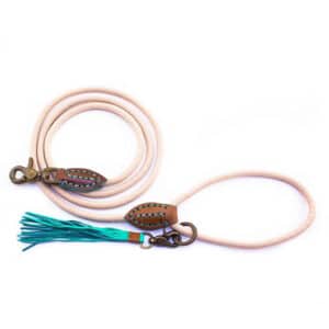 Trendy hondenriem van touw sand van DWAM