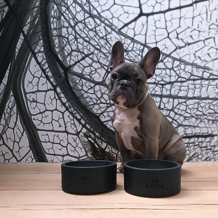 Franse bulldog hondenvoerbak beton zwart DOGA