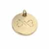 Hondenpenning goud