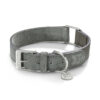 Miacara leren Suède hondenhalsband Como grijs