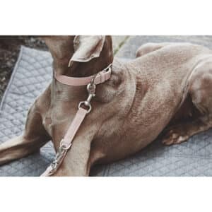 Roze Suède hondenhalsband MiaCara