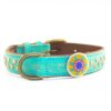 Mooie Hondenhalsband avalon - 2,5cm