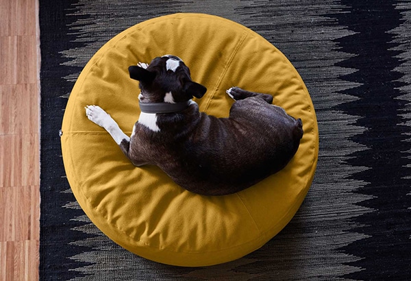 Gele hondenpoef retro vintage woonstijl