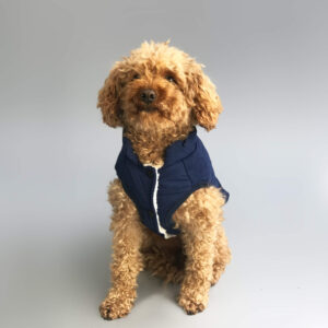 mooie Hondenjas blauw toypoodle
