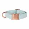 DOGA Hondenhalsband mintgroen