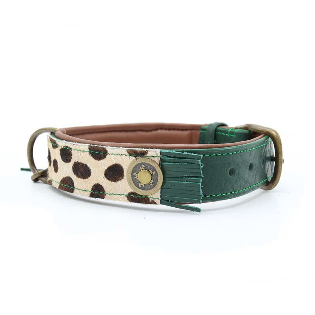 Ivy 4 cm dog with a mission leer hondenhalsband