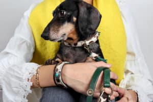 Teckel hondenhalsband en riem DWAM Ivy