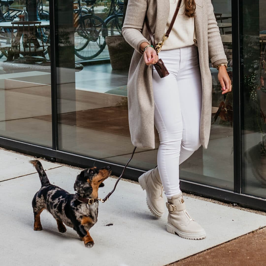 Luxe hondenhalsband Bruin met goud
