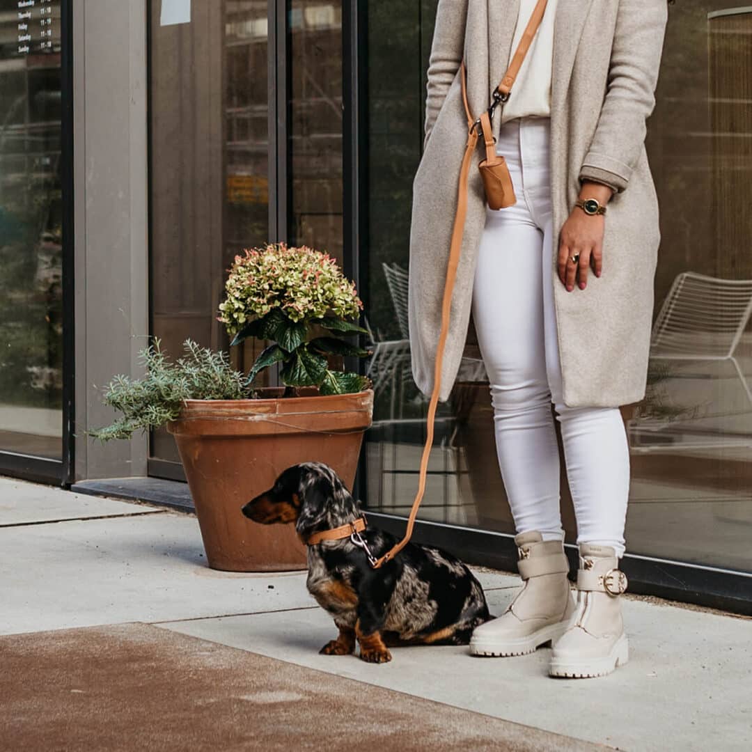 luxe honden halsband camel gun black