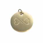 Luxe Hondenpenning RVS goud