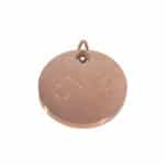 Luxe hondenpenning RVS Roségoud