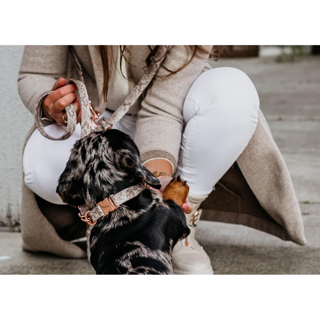 Luxe honden halsband royal snake rose goud