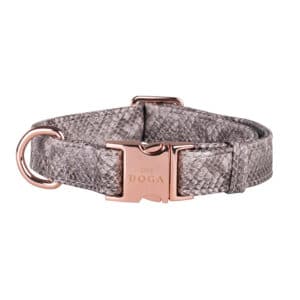 Halsband puppy Royal Snake print