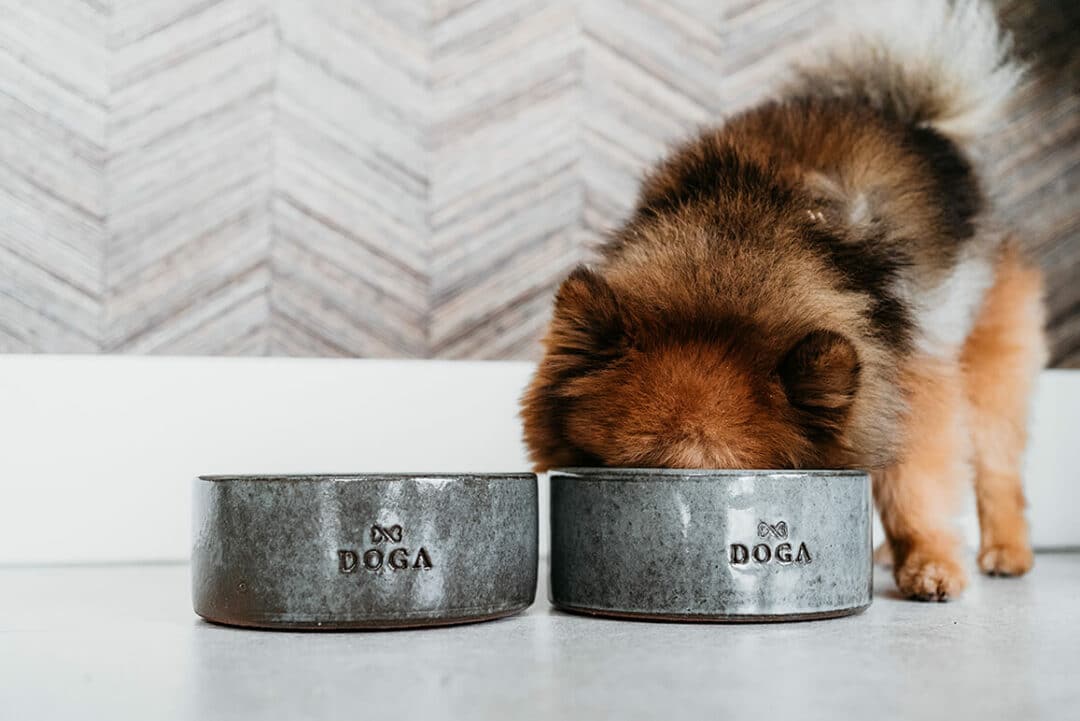 Hondenvoerbak DOGA Blue Bali