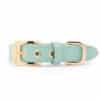Leren hondenhalsband Peppermint