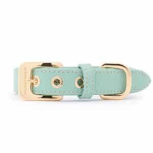 Leren hondenhalsband Peppermint