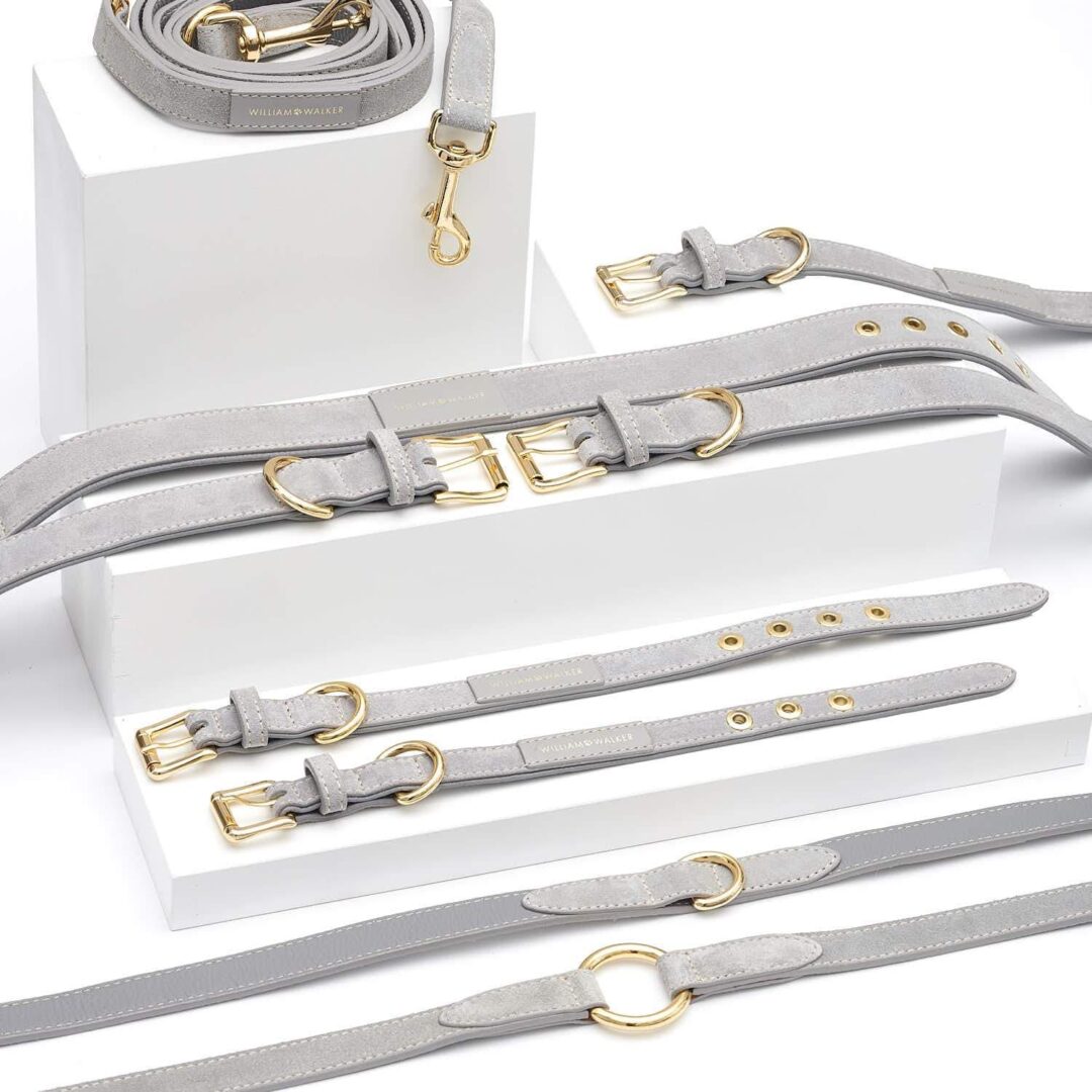 Leren hondenhalsband Sea Salt grijs met goud