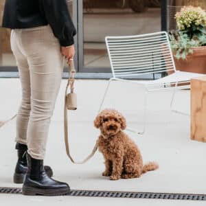 honden poepzakhouder steengrijs met rose goud
