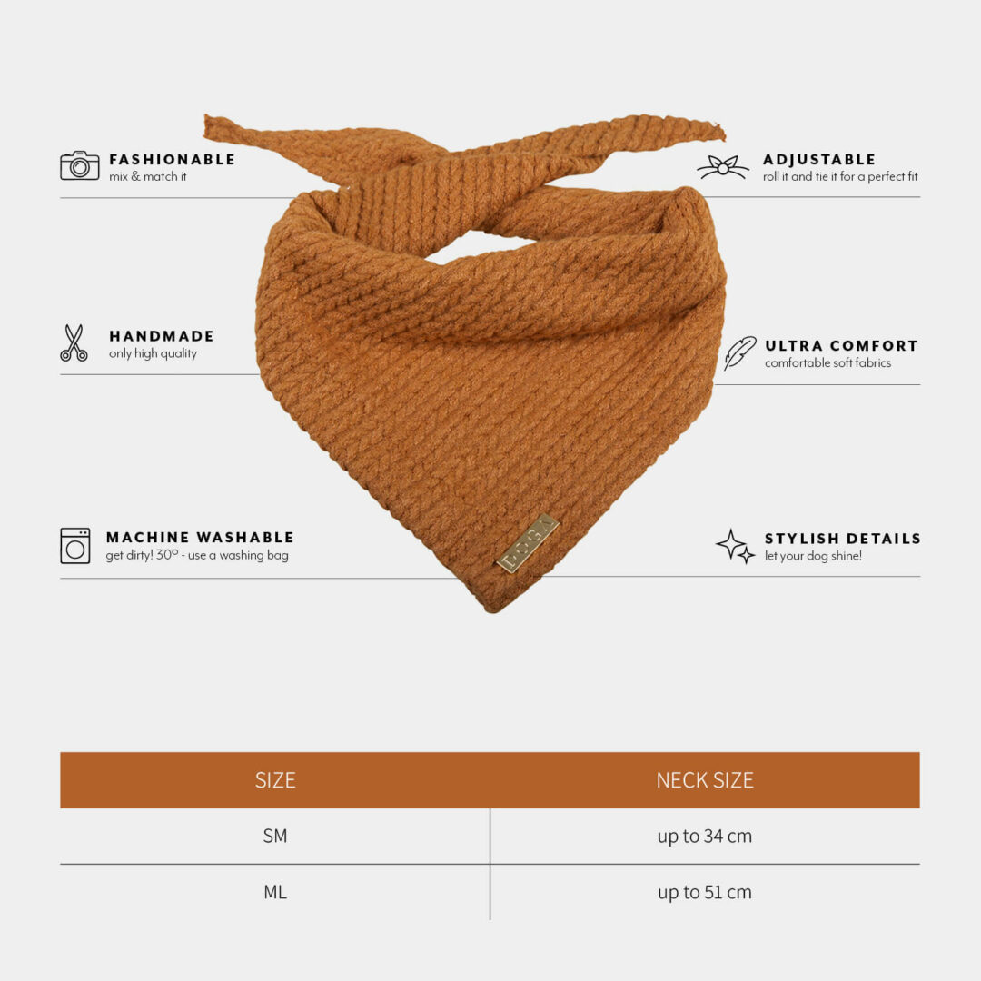 winter bandana hond