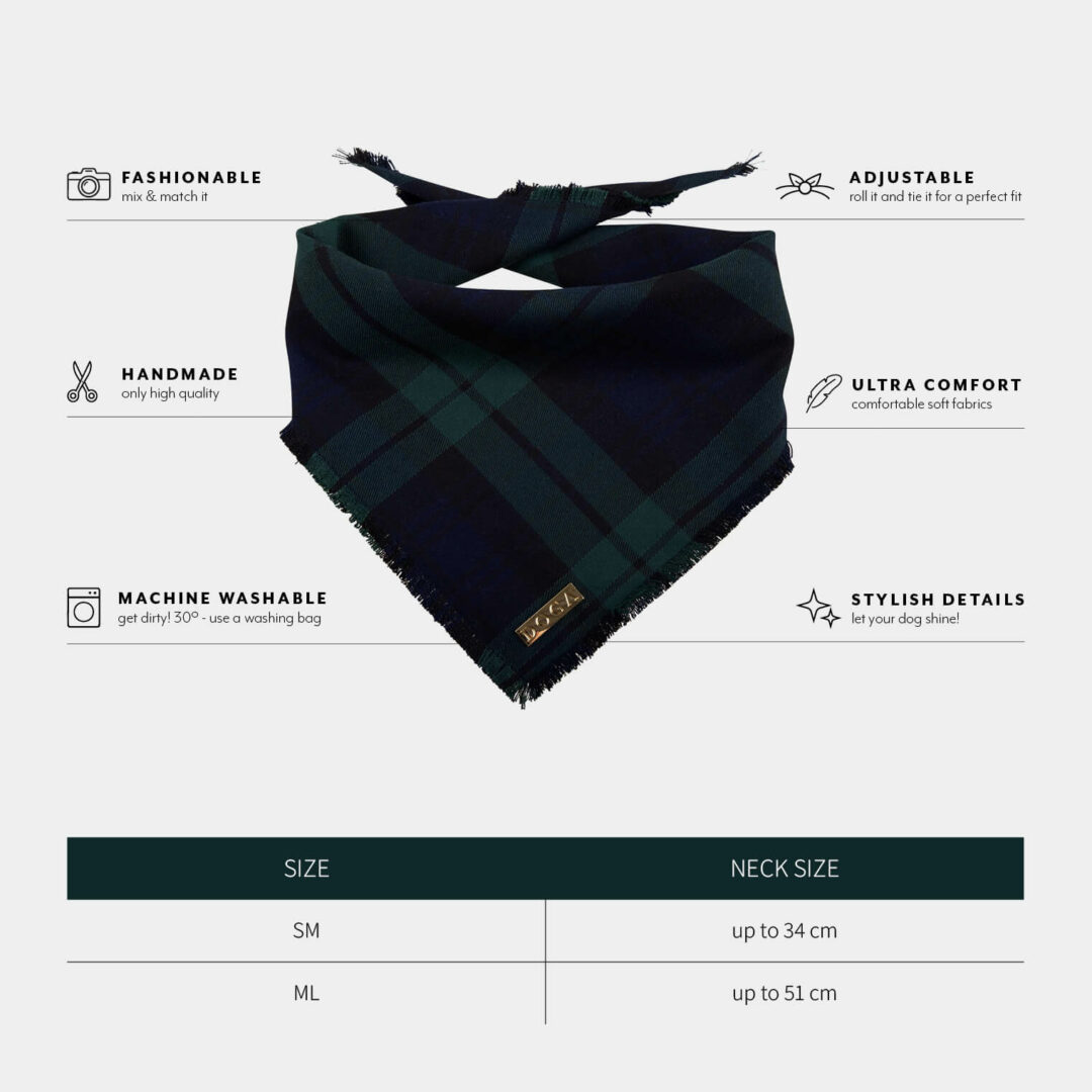 tartan bandana hond