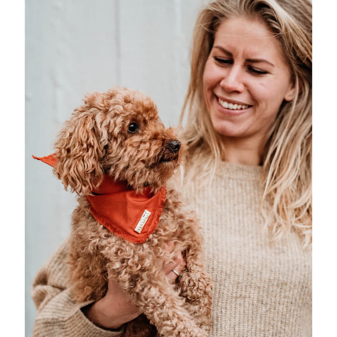 Honden bandana toypoodle Voile Cognac