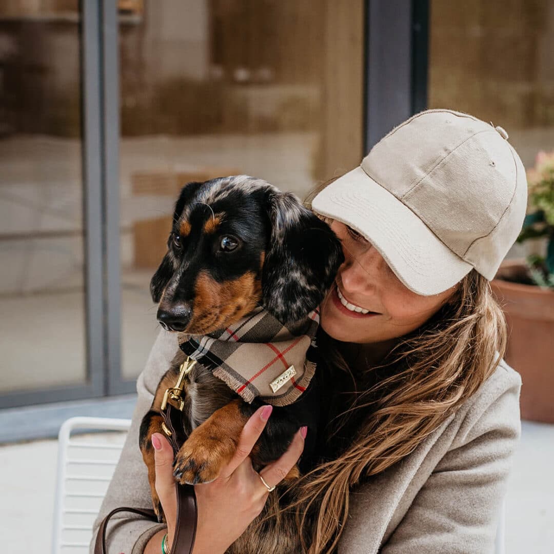 Honden bandana Tartan met goud