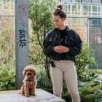 Luxe hondentuig royal black met goud