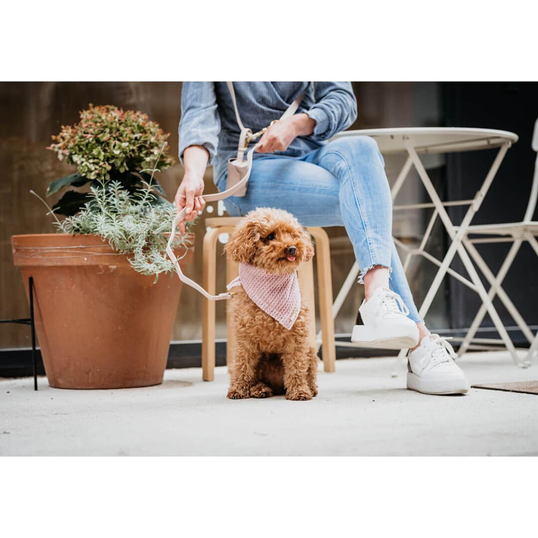 honden bandana cably rose met goud