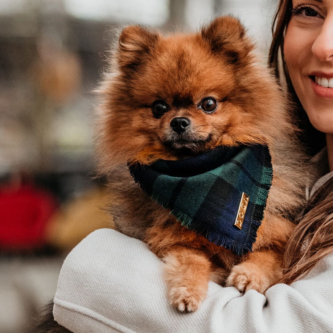 luxe honden sjaal mossy tartan