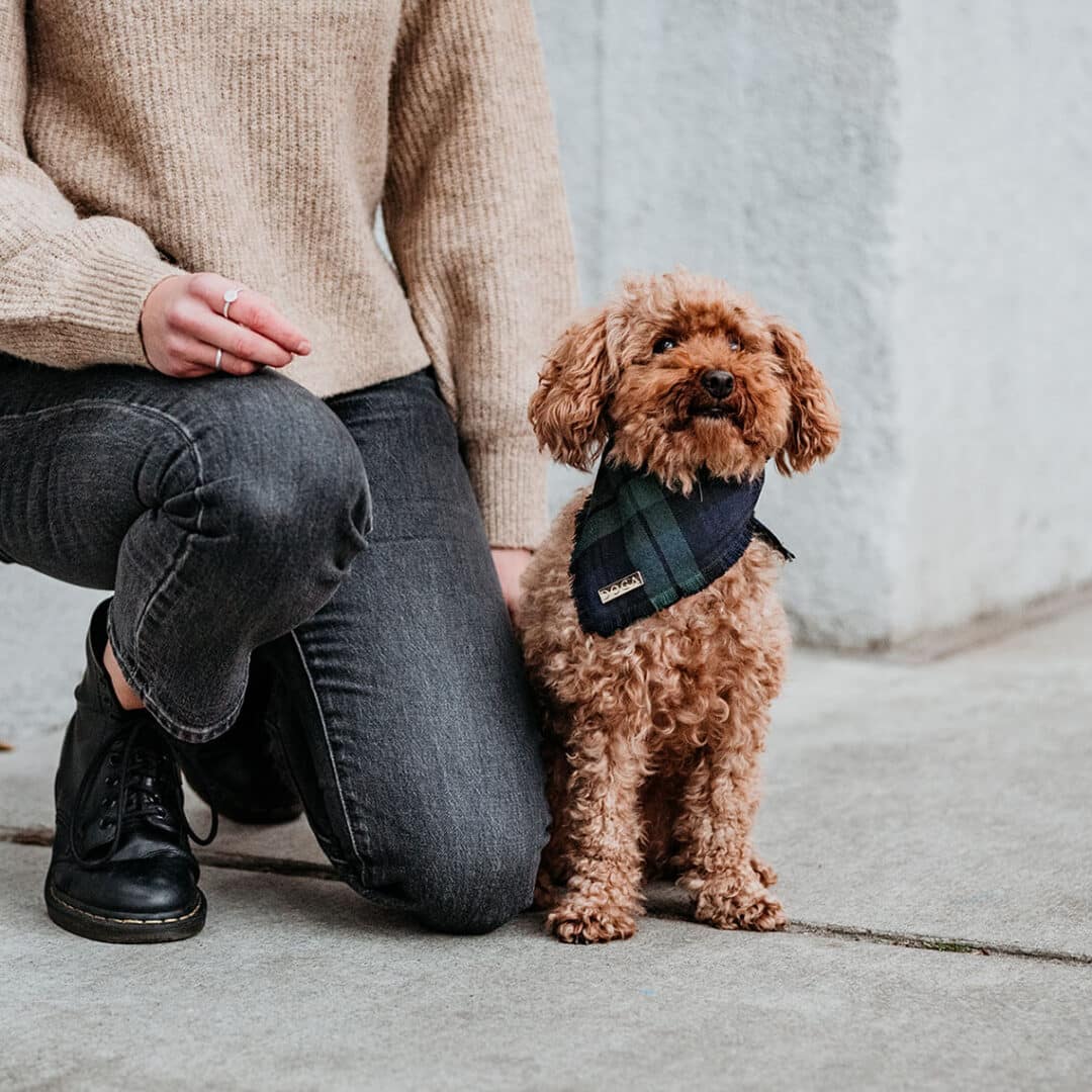 luxe honden sjaal toypoodle mossy tartan