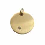 Gouden Hondenpenning Silverstone