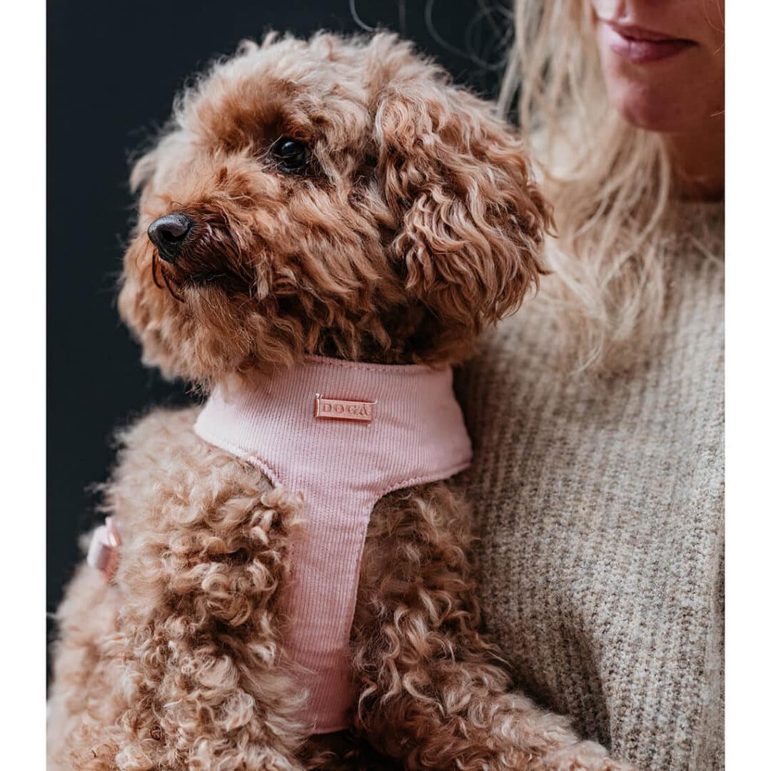 Soft hondentuigje pink velvet