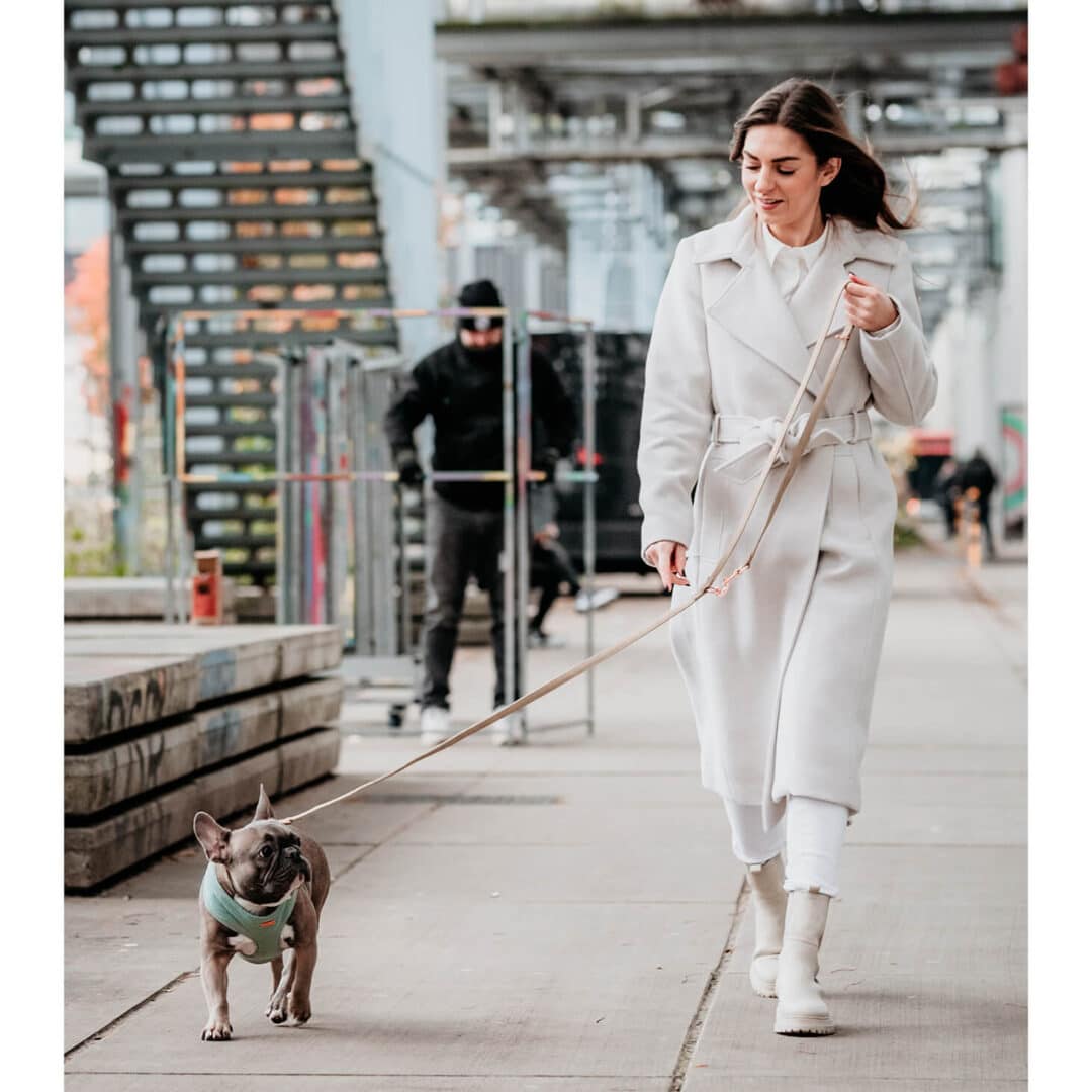 luxe Soft hondentuigje minty velvet franse bulldog