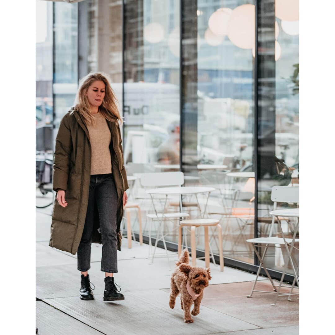 luxe hondentuigje pink velvet DOGA