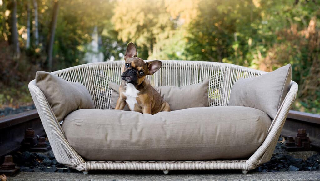 Laboni hondenspullen