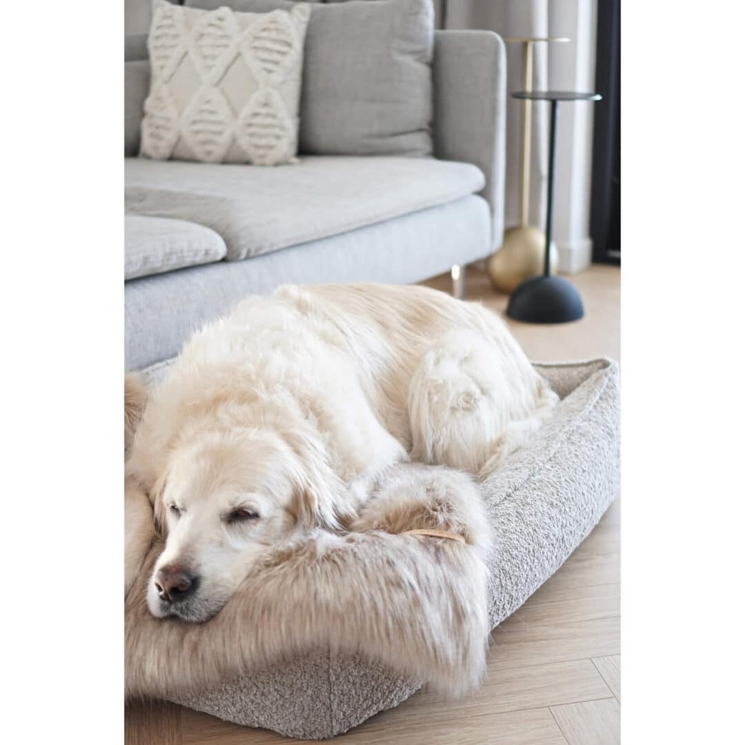 Hondenmand Buklaa Licht Beige - Afbeelding 6