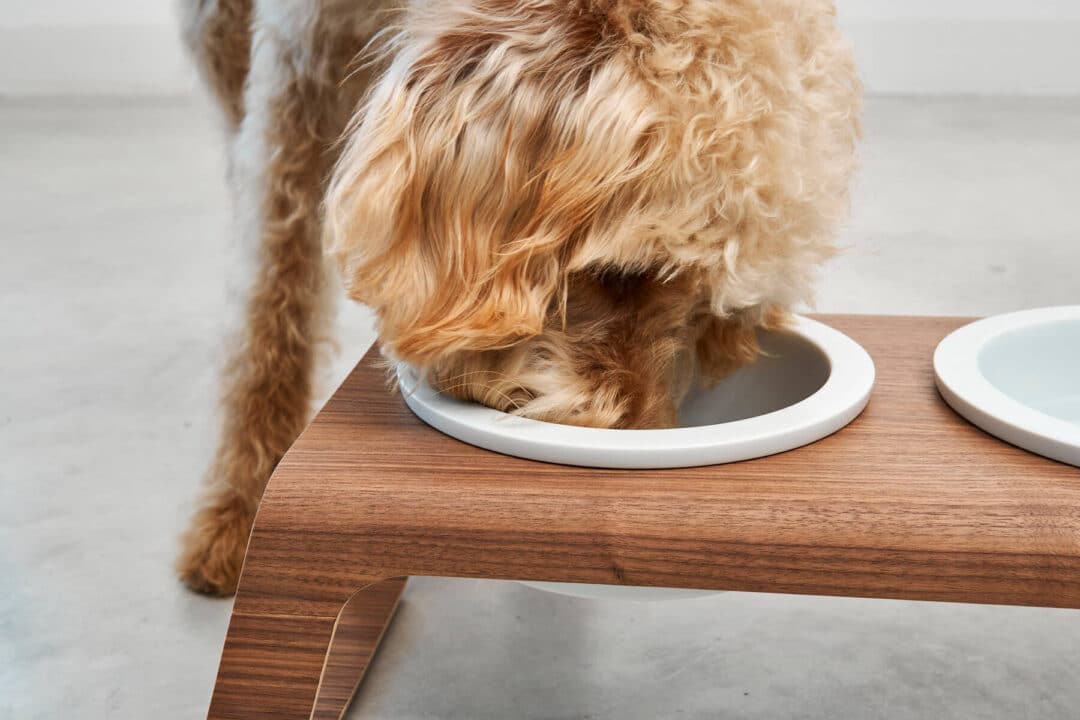 Hippe hondenvoerbak hout Desco Walnut